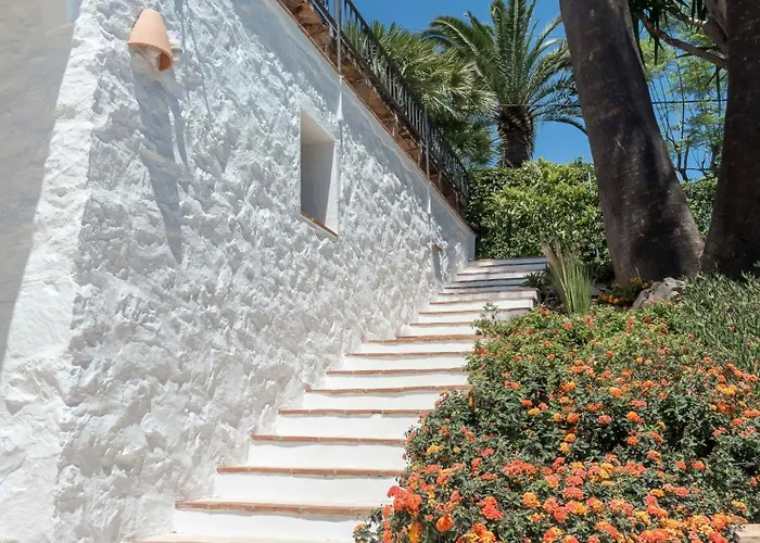 Tosalet Pomelo * Jávea